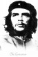 অসামাজিক