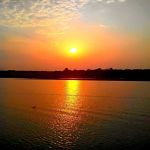 রাশেদ ইফতি