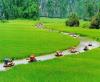 আব্দুস সালাম আজাদী