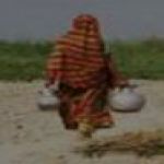 শিখণ্ডী