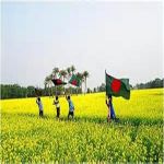 কবিতাবলী
