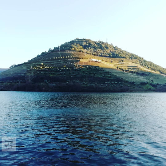 Porto Port Wine Tour