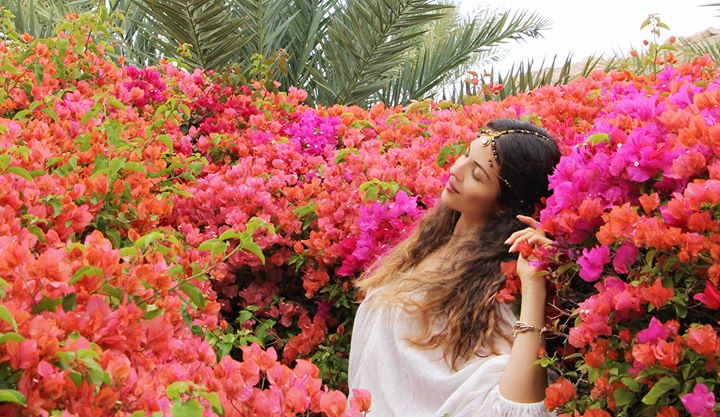 ЧИКАГО р-т '' БАЛКАНИКА ''