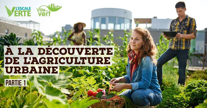 À la découverte de l'agriculture urbaine - partie 1