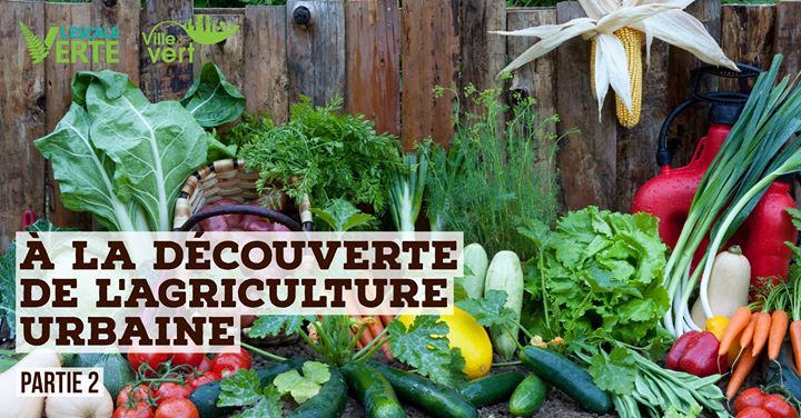 À la découverte de l'agriculture urbaine - Partie 2
