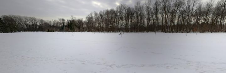 04.02 • Boy Rex • Anthony Jay Sanders • Common Holly (solo)