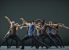 16 + a room / Solo Echo / Bill