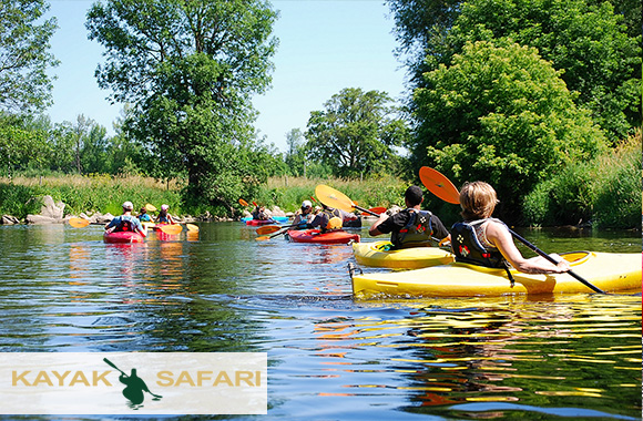16$ pour une demi-journée d’aventure en kayak avec Kayak Safari