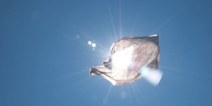 1M - Clitandre / Cardin / Lévesque / Lemay - Points de vue