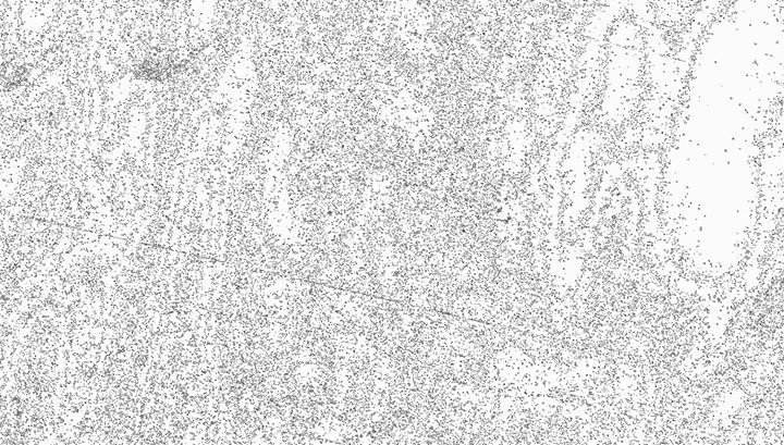 1M - Jérôme Bouchard - au vu