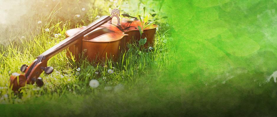 Les arts s'invitent au Jardin