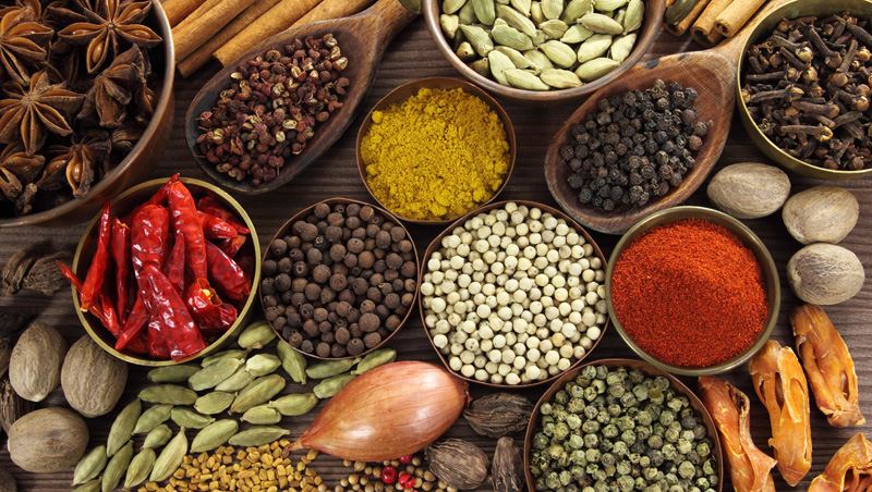 Festival Martinique Gourmande