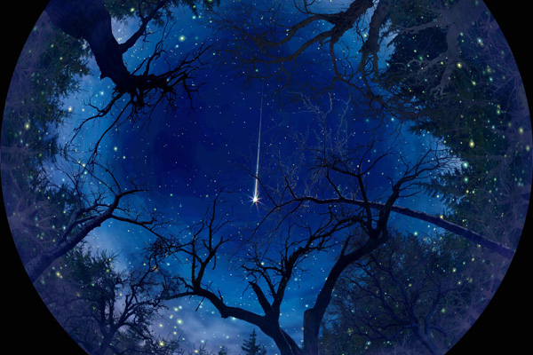 Planétarium Rio Tinto Alcan