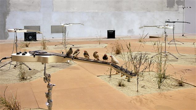 Céleste Boursier-Mougenot, from here to ear