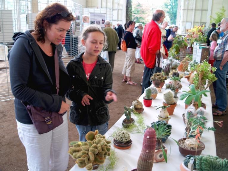 MEGA vente de cactus à 5$ du Cégep Vieux-Montréal