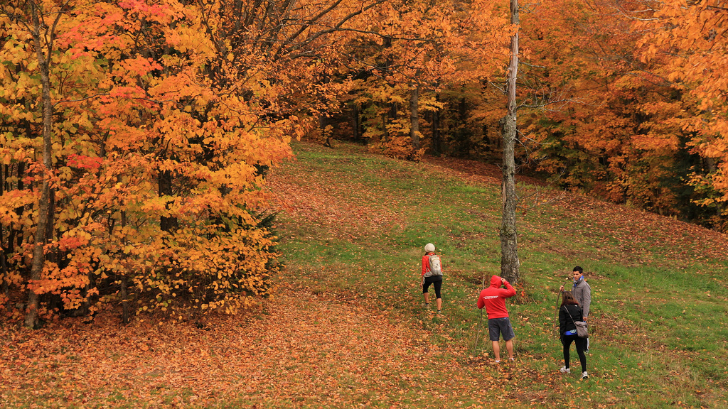 Festival d'automne du Mont SUTTON