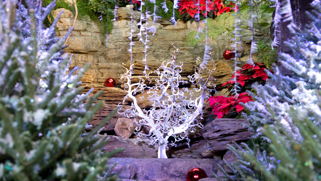 Noël s'expose avec panache!