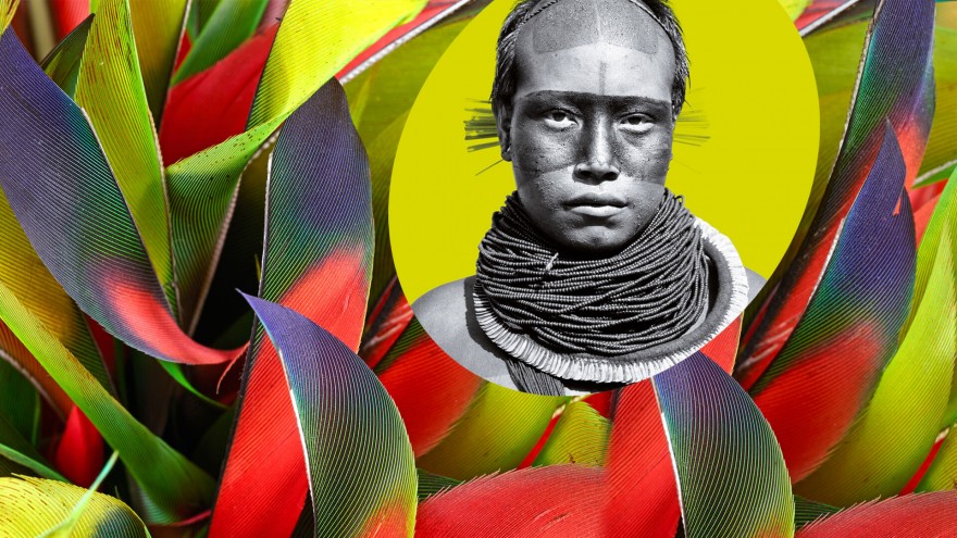 Amazonie. Le chamane et la pensée de la forêt