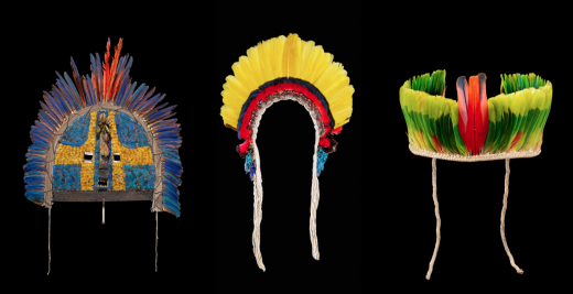 Amazonie. Le chamane et la pensée de la forêt