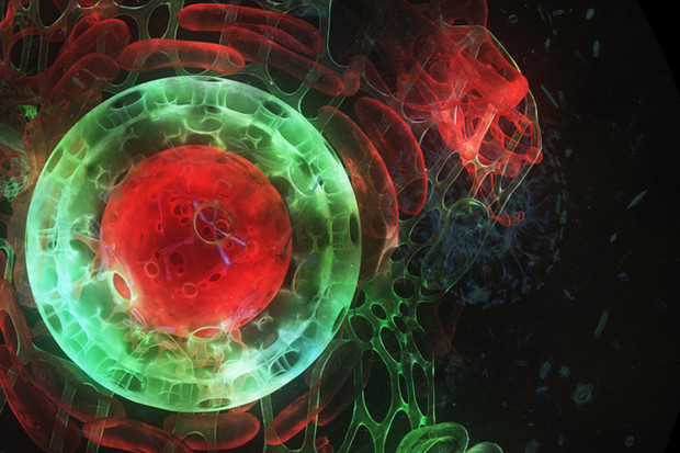 KYMA, Voyageurs de l'ombre