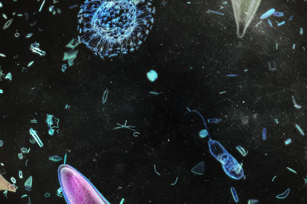 KYMA, Voyageurs de l'ombre