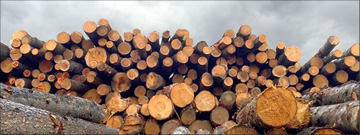 560 KM - Du 5 au 29 mai