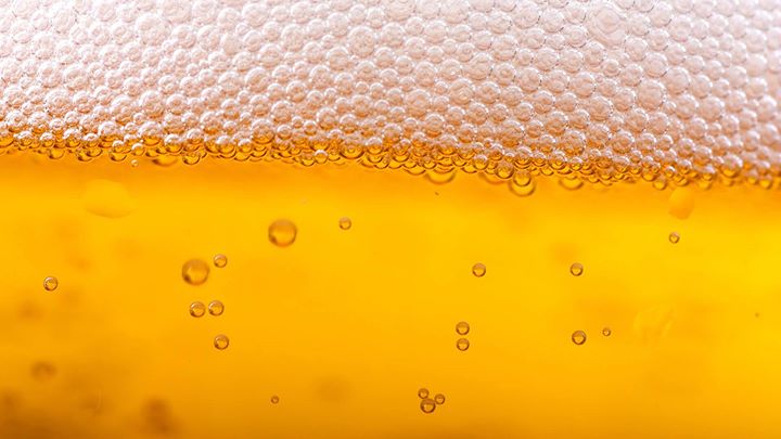 6@10 - sciences économiques