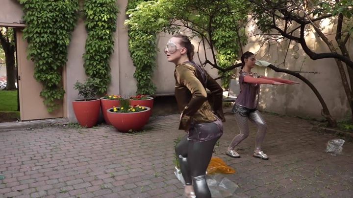 À nouveau sauvage / Rewilding