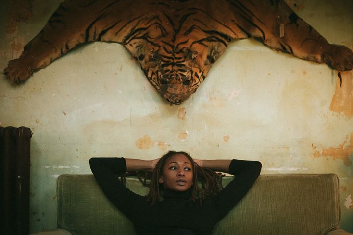 ALA.NI / Montréal en Lumière