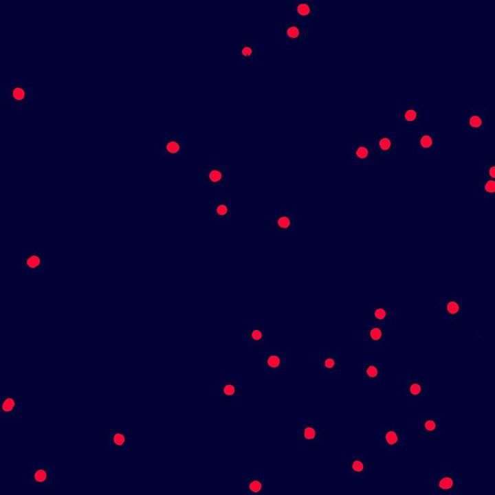 Alexandre Poulin - Page Officielle + Alexandre Poulin