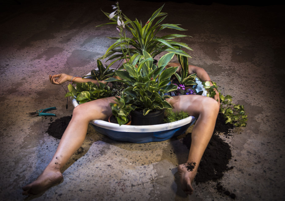 Amélie Rajotte + Aliah Schwartz & Guillaume Loslier-Pinard