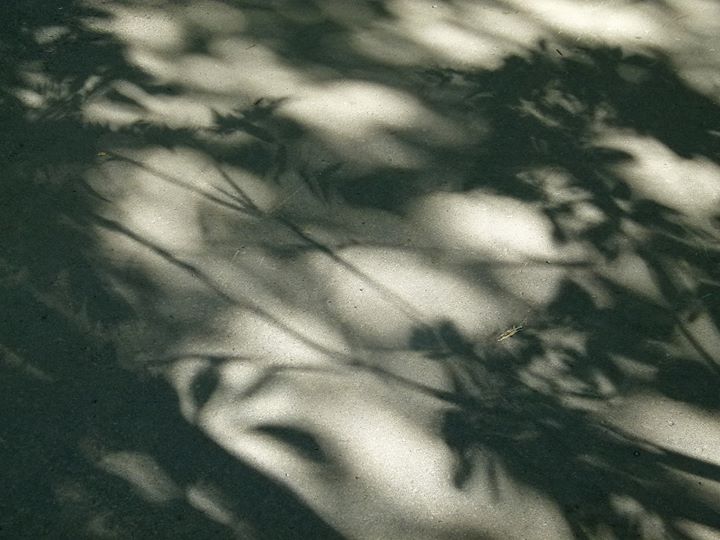 ANDRES VIAL TRIO @ Resonance Cafe