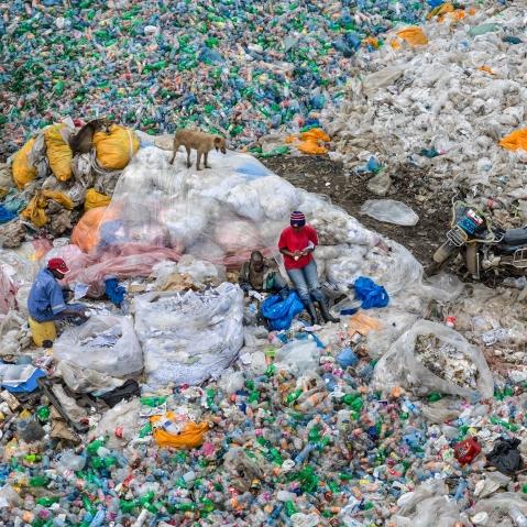 Anthropocène - L'époque humaine