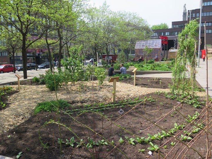 Atelier agriculture urbaine| lactobacilles & bactéries indigènes