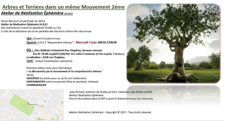 Atelier Créatif Éphémère 2 (Arbres et Hommes même mouvements)