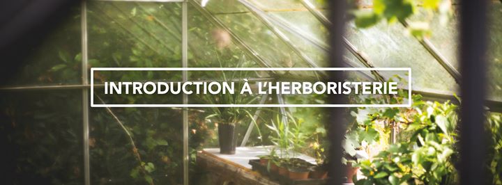 Atelier d'introduction à l'herboristerie