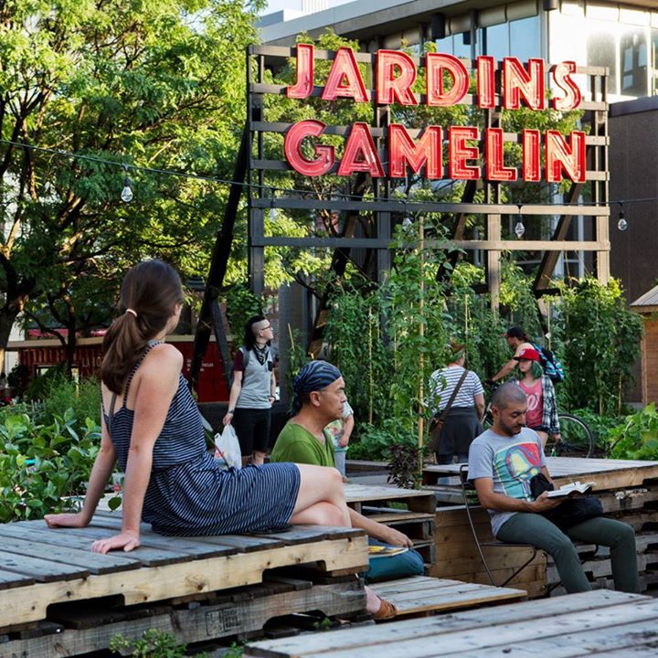 Atelier découverte des collections BAnQ