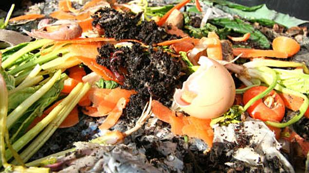 Atelier de Compostage - composting workshop