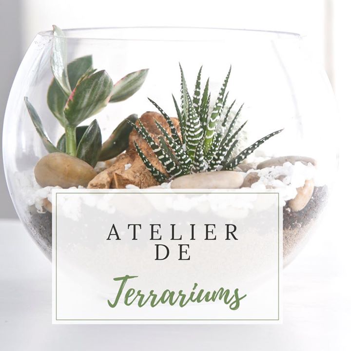 Atelier de Terrarium