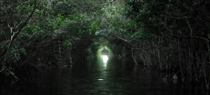 ATELIER : LA MORT, MON ALLIÉE