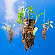 Atelier : Les Samedis ensemble en familles