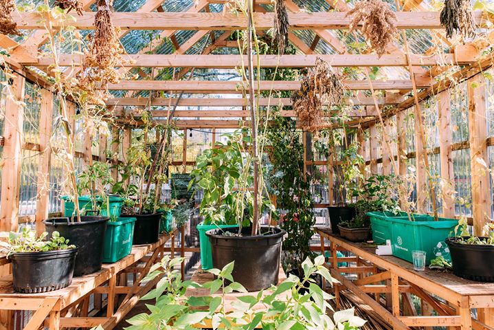 Atelier Mon Jardin, ma pharmacie