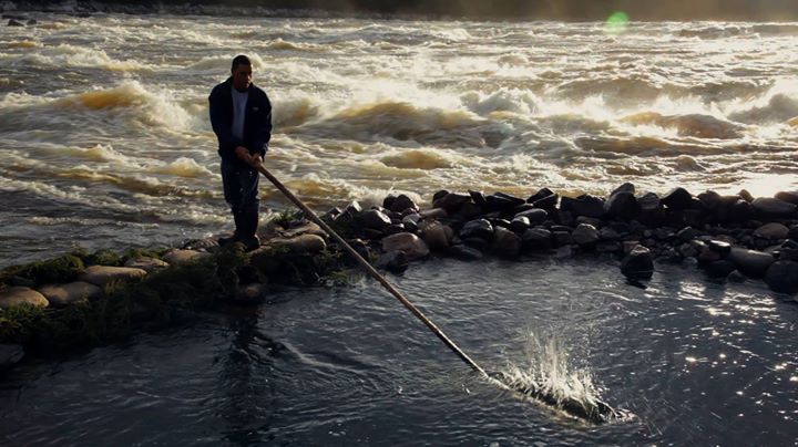 Atelier : Techniques alternatives de création documentaire