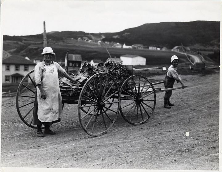 BAnQ Gaspé - Journée portes ouvertes