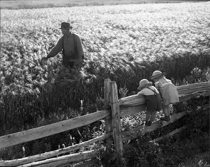 BAnQ Rimouski - Journée portes ouvertes