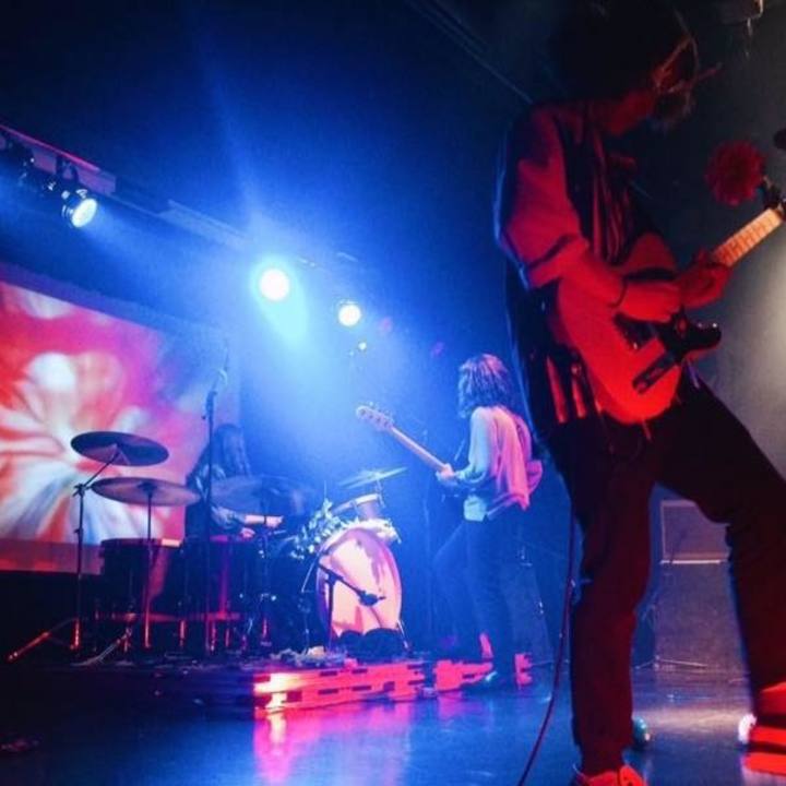 Barber For The Queen