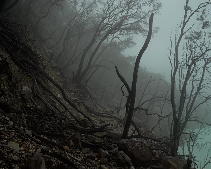 Bas Princen - Volcano Walks