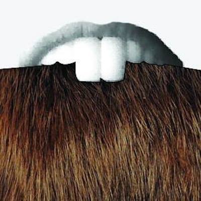 Beaver Dream / La Fièvre du Castor - St-Ambroise Montreal Fringe Festival