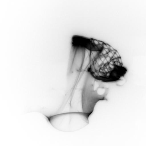 BIAN 2016 - Patrick Harrop