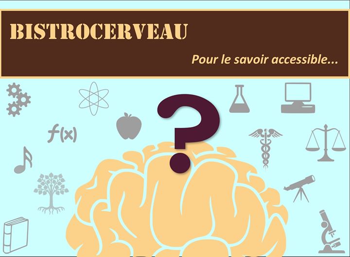 Bistro Brain - Le système de santé